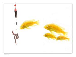 订单管理到底怎么样？优缺点全面分析